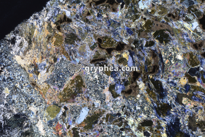 Métagabbro à Glaucophanite LPA x3,5 - gryphea.com